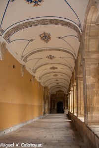 sin título (46 de 77)