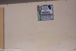 sin título (52 de 77)