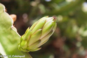 sin título (58 de 77)