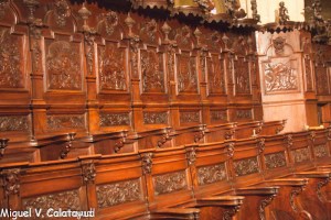 sin título (8 de 77)